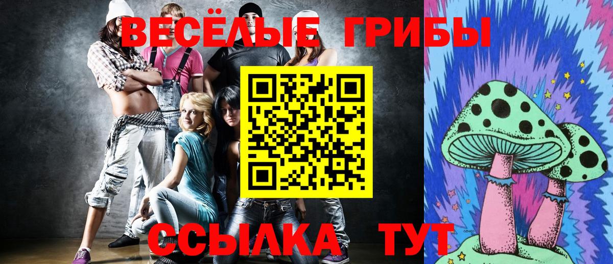 Находка  Псилоцибиновые грибы ЛСД  Вход с VPN 